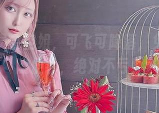 月城委员会空姐，可飞可降落，免费照片随便看，绝对不亏！